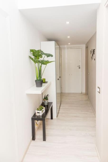 Raphi's Flat In Trastevere - The Heart Of Apartment *